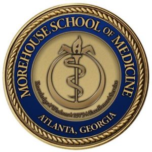 MSM logo